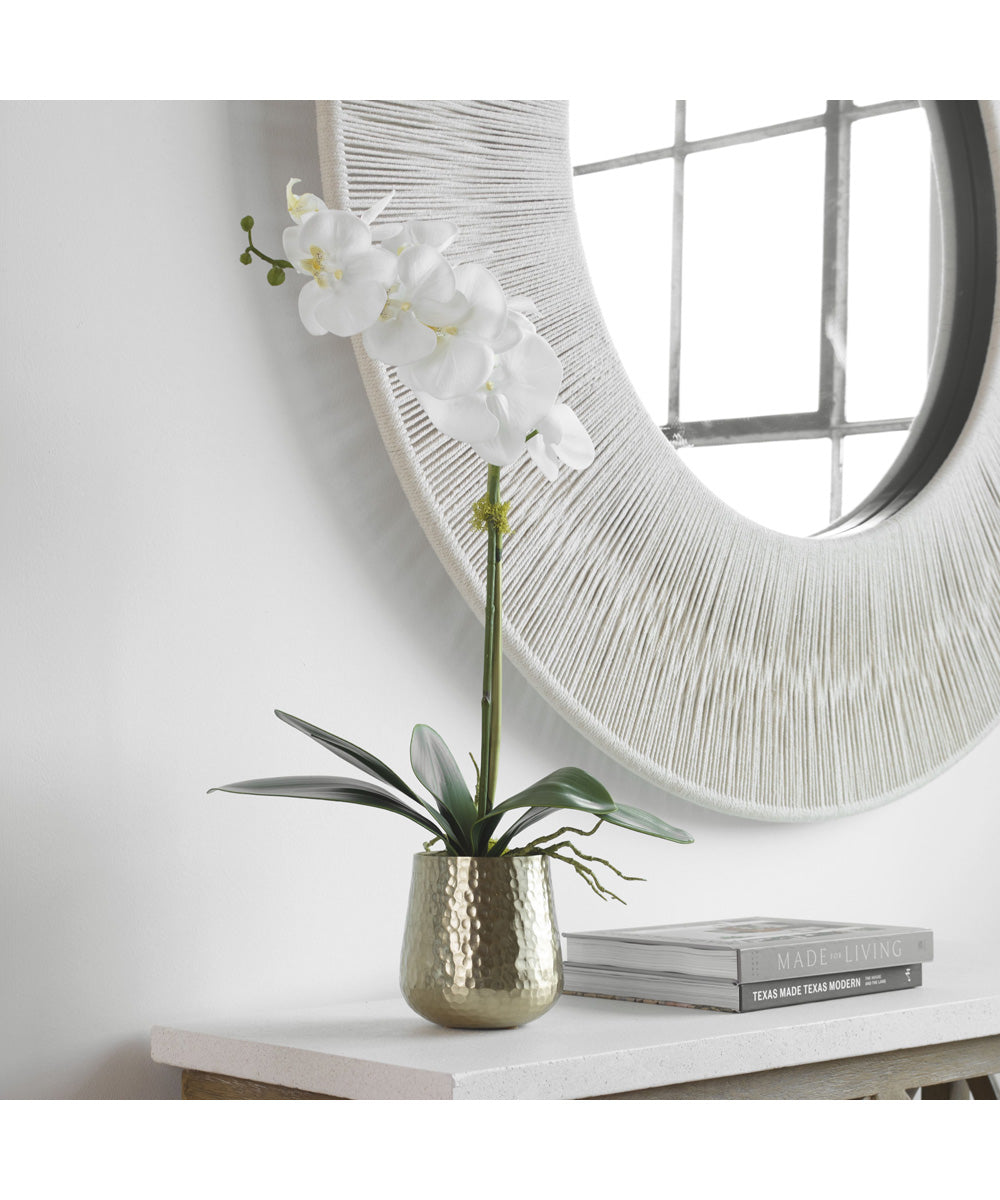 Cami Orchid With Brass Pot