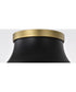 Lafayette 1-Light Close-to-Ceiling Matte Black