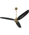 Ceiling Fans with Remotes