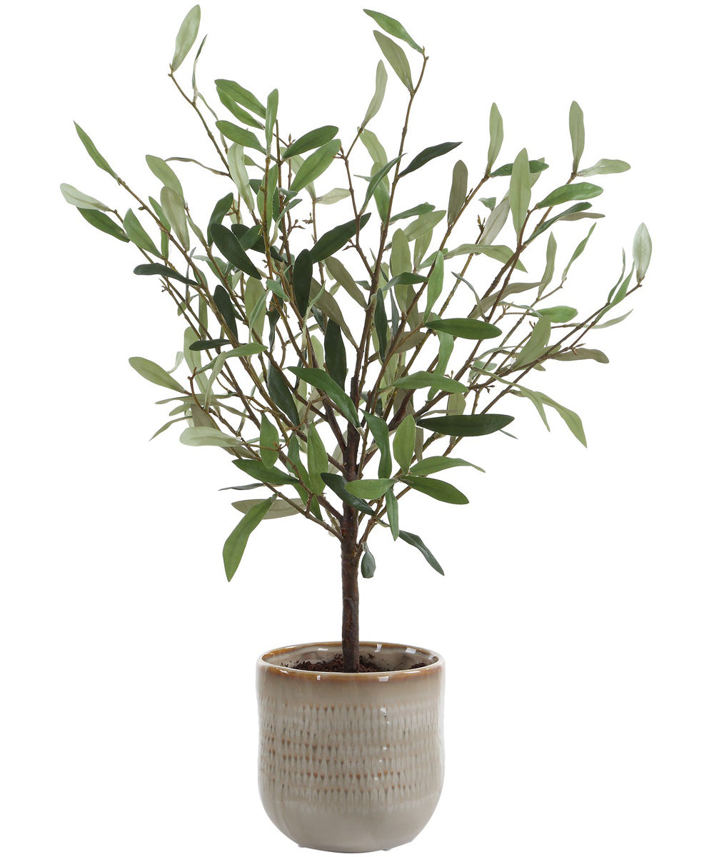 Solea Olive Accent & Textured Vase
