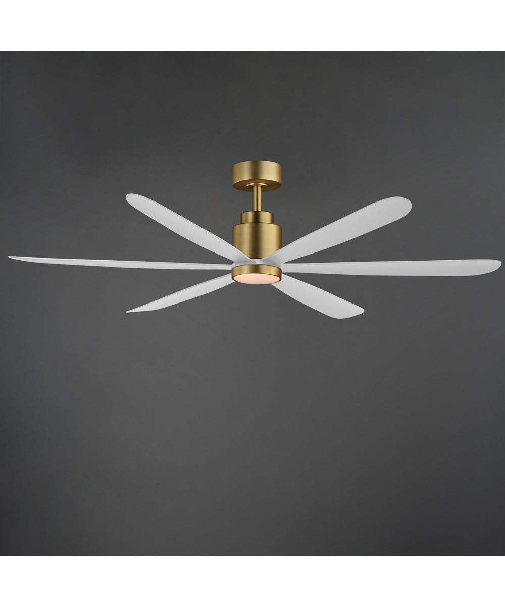 Petals 60 inch 6-Blade Fan w LED White/Natural Aged Brass