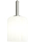 Reines 1-Light Pendant with Opal Glass Shade Brushed Nickel