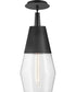 Livie 1-Light Small Single Light Convertible Pendant in Black
