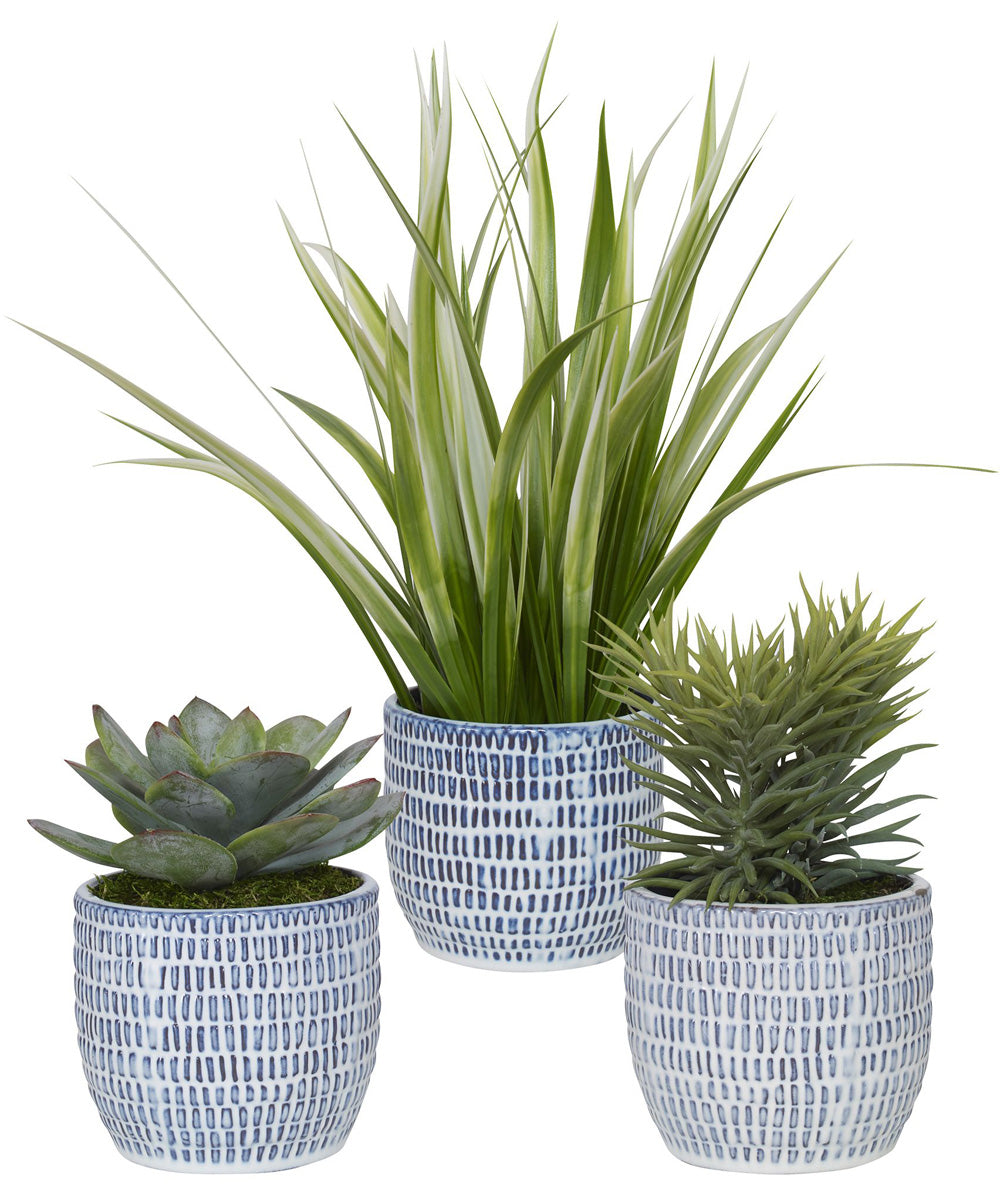 Puebla Greenery In Blue & White Pots, Set of 3