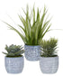 Puebla Greenery In Blue & White Pots, Set of 3