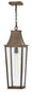 Georgetown Coastal Elements  1-Light Large Hanging Lantern in Burnished Bronze