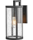 Alfie 1-Light Small Wall Mount Lantern in Black