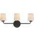 Durham 3-Light Bath Vanity Black