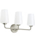 Celino 3-Light Bath & Vanity Brushed Nickel