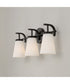Drake 3-Light Vanity Matte Black