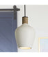Destin 1-Light Pendant Dark Pewter