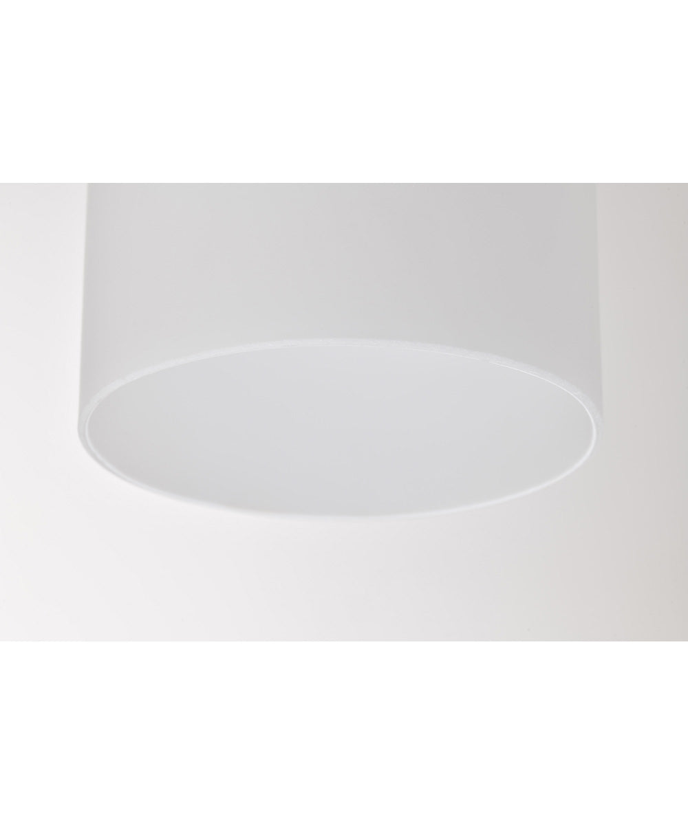 Liam 1-Light Pendant Burnished Brass