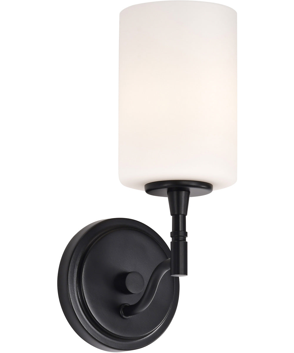Liam 1-Light Vanity & Wall Matte Black