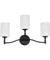 Liam 3-Light Vanity & Wall Matte Black