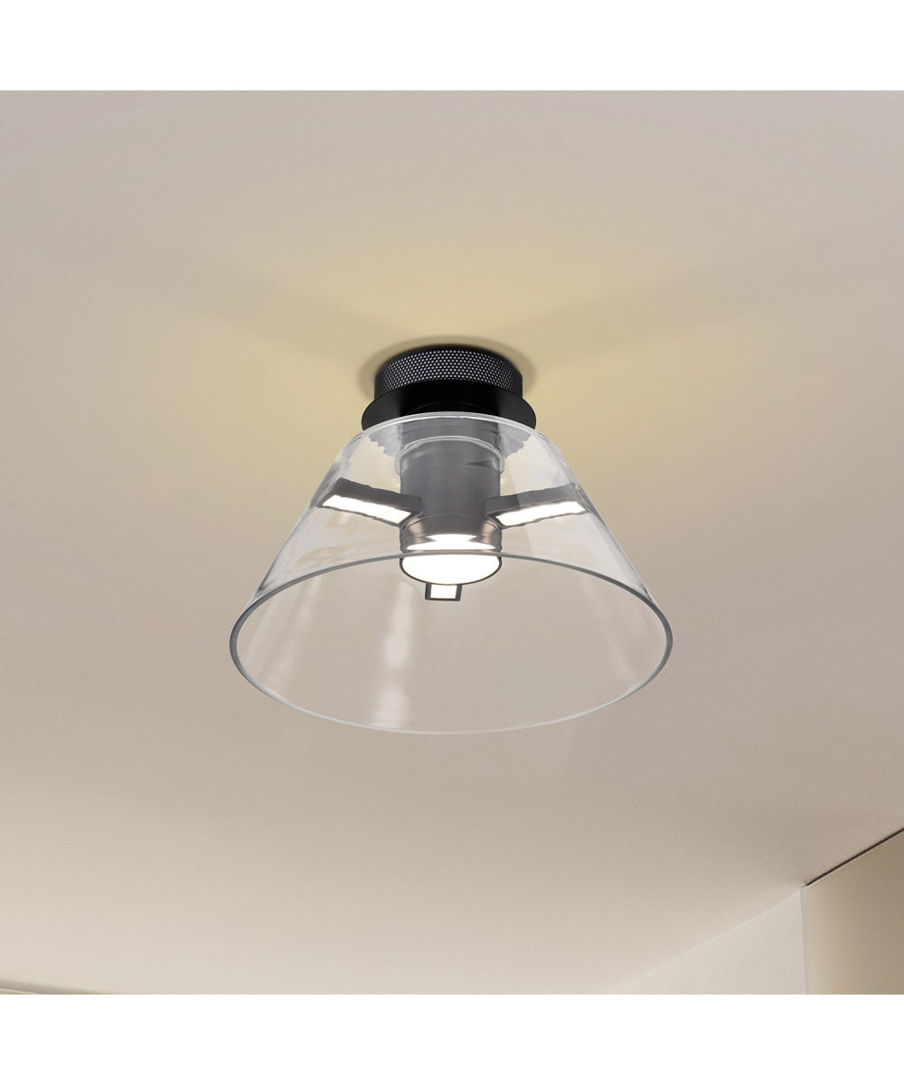 Edmond  Close-to-Ceiling Matte Black