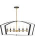 Sammi 6-Light Large Six Light Linear in Black