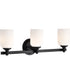 Solara 3-Light Vanity & Wall Matte Black