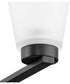 Tanner 5-Light Chandelier Matte Black