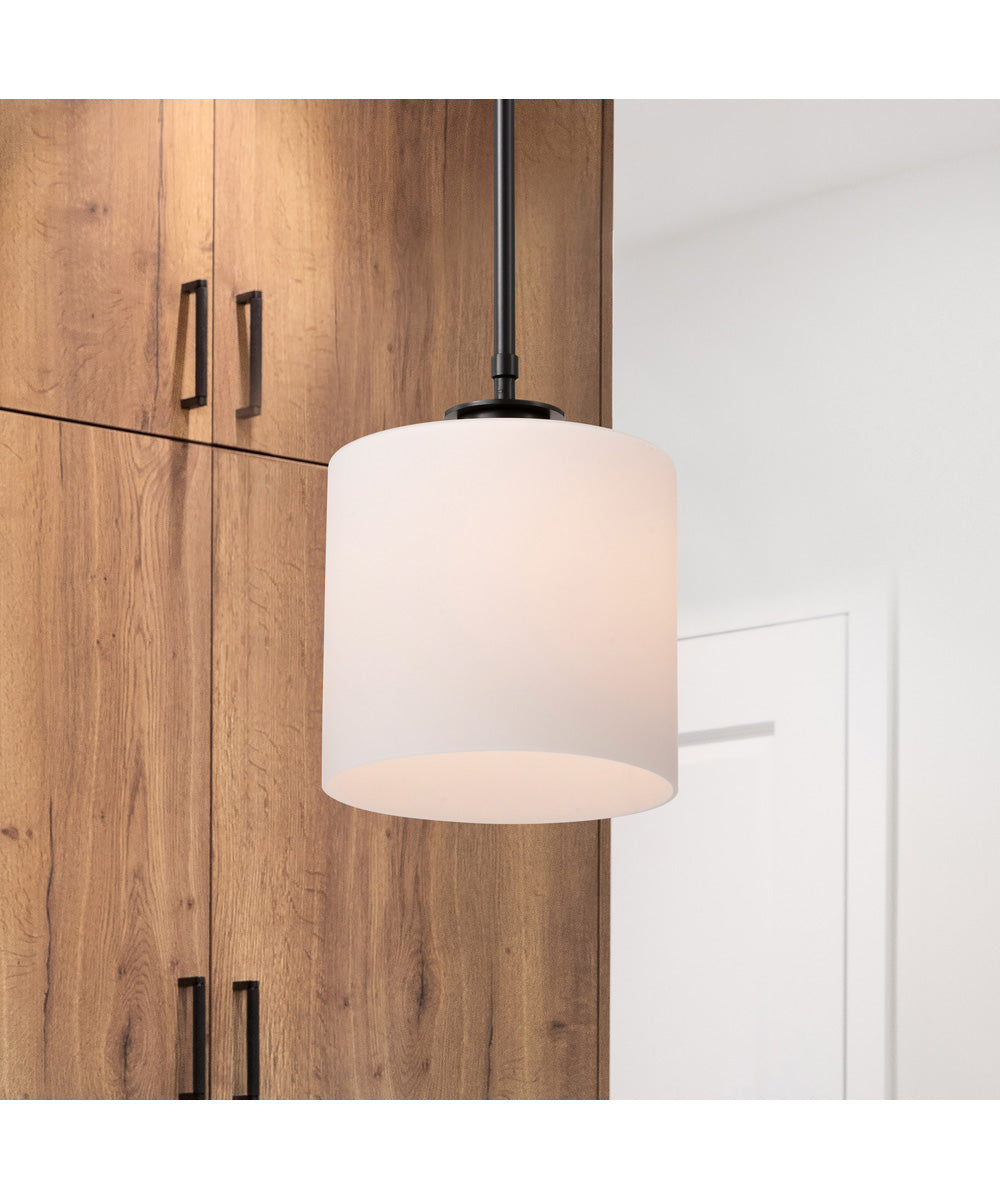 Warren 1-Light Pendant Gun Metal