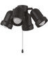 4-Light Accessory Brushed Polished Nickel