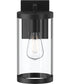 Kagen Medium Outdoor Wall Light with Clear Glass Panels Matte Black