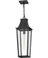 Georgetown Coastal Elements  1-Light Large Hanging Lantern in Black