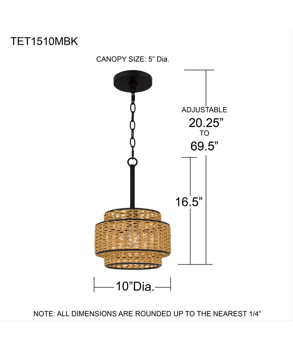 Teton 1-light Mini Pendant Matte Black