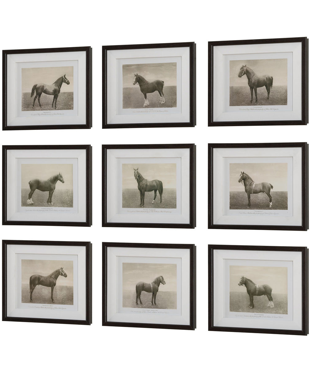 Equine Dynasty Framed Prints, Set of 9