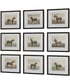 Equine Dynasty Framed Prints, Set of 9