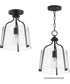 Bellmore 1-Light Pendant/Semi Flush Black