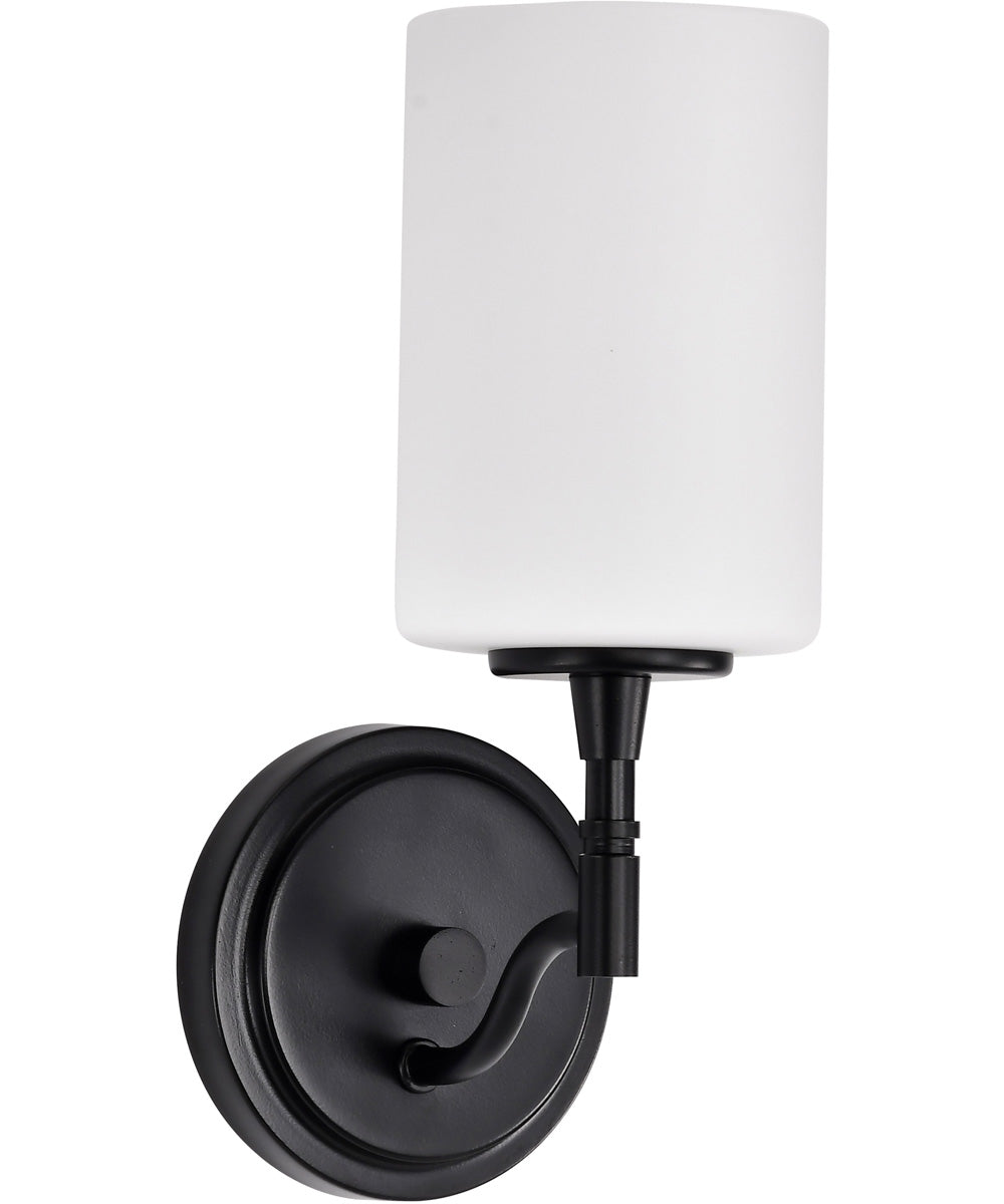 Liam 1-Light Vanity & Wall Matte Black