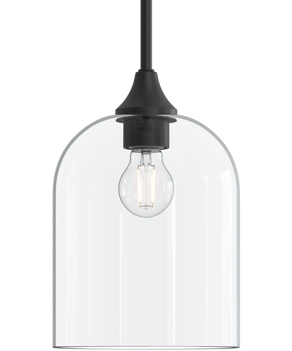 Ilia 1-Light Pendant with Clear Glass Shade Matte Black