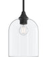Ilia 1-Light Pendant with Clear Glass Shade Matte Black