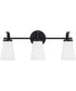Drake 3-Light Vanity Matte Black