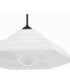 Rainier Pendant Matte Black