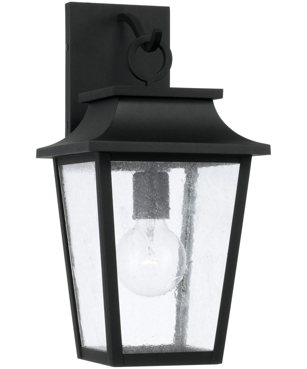 Chandler 1-Light Outdoor Wall-Lantern Black