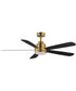 Daisies 60 inch 5-Blade Fan w LED White/Natural Aged Brass
