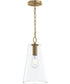 Jheni 1-Light Pendant with Clear Glass Shade Brushed Gold