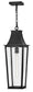 Georgetown Coastal Elements  1-Light Large Hanging Lantern in Black
