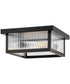 Torrent 2-Light Medium Flush Mount in Black