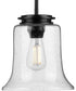 Winslett 1-Light Clear Seeded Glass Coastal Pendant Light Matte Black