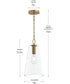 Jheni 1-Light Pendant with Clear Glass Shade Brushed Gold