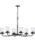 Winslett 6-Light Clear Seeded Glass Coastal Chandelier Light Matte Black