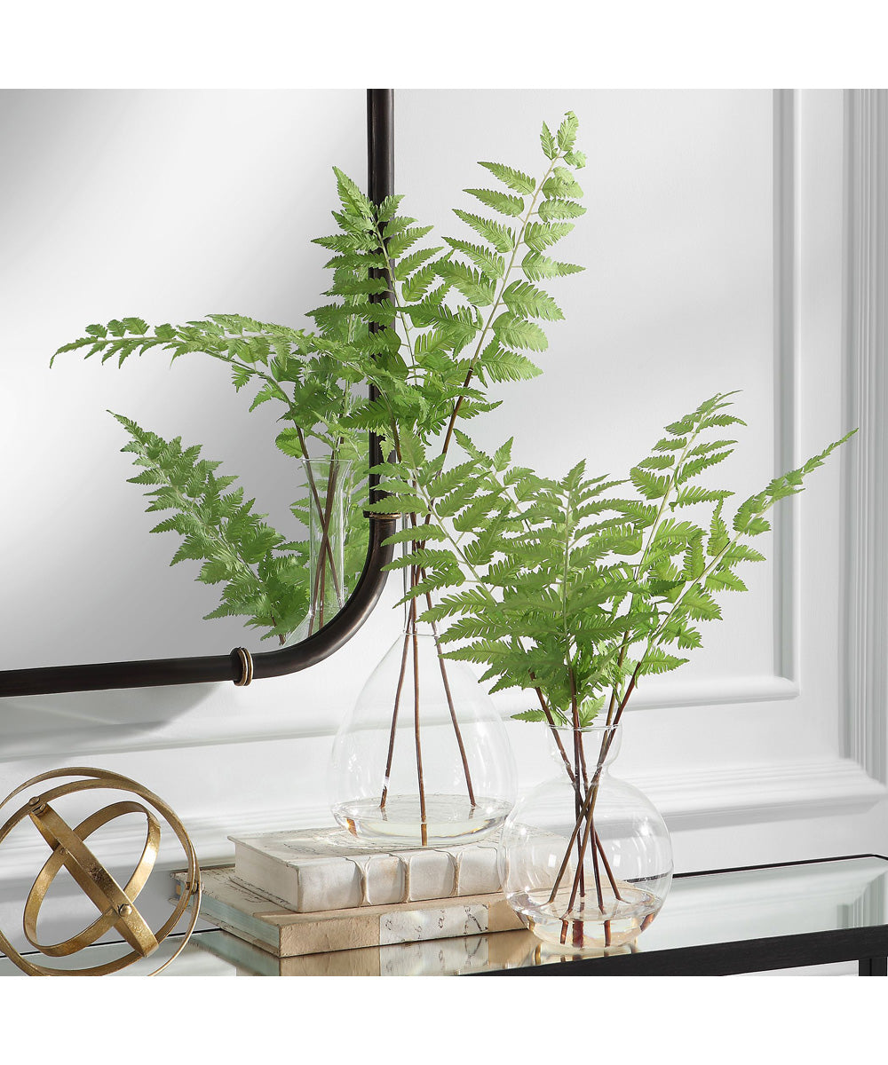 Country Ferns, Set of 2