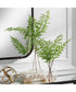 Country Ferns, Set of 2
