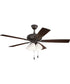 Eos Frost 4 Light 4-Light Fan Classic Bronze