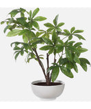 uttermost