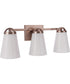 Zane 3-Light Lighting Premium Bronze