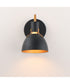 Dusk 1-Light Wall Sconce Black / Antique Brass