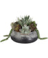 Yuma Succulent Centerpiece